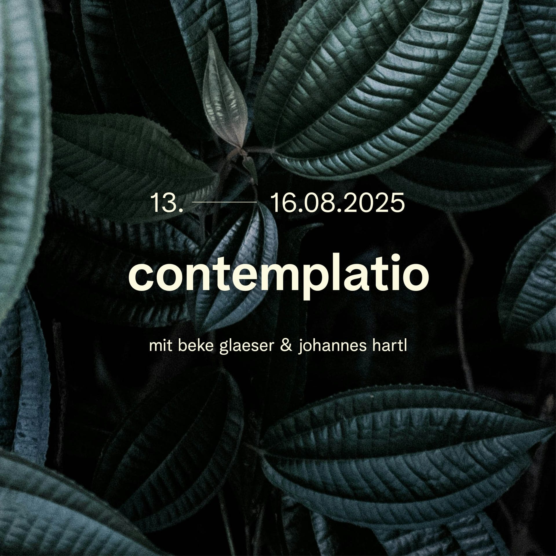 Contemplatio mit Johannes Hartl